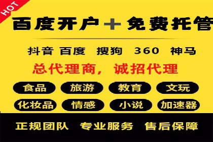 某品牌SEM广告的蜕变——代运营公司的力量